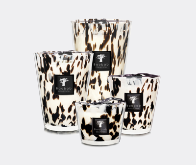 Baobab Collection Candlelight And Scents Multicolor Uni In Multicolor