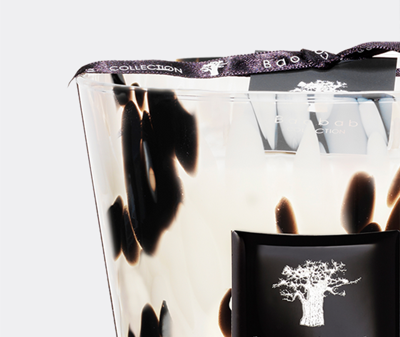 Baobab Collection Candlelight And Scents Multicolor Uni In Multicolor