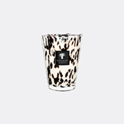 Baobab Collection Candlelight And Scents Multicolor Uni In Multicolor