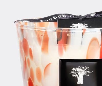 Baobab Collection Candlelight And Scents Red Uni In Red