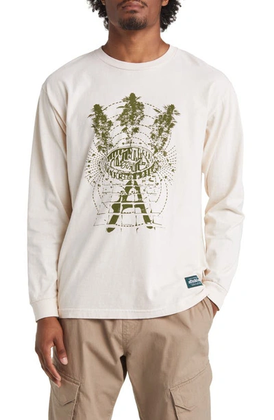 Shop Afield Out Stone Long Sleeve Graphic T-shirt In Bone