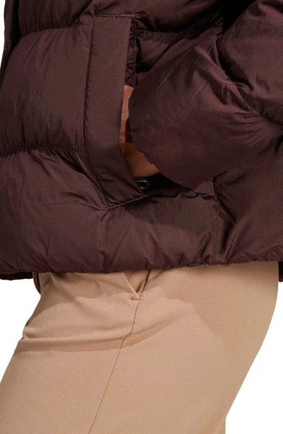 Adidas Originals Short Vegan Jkt Woman Down Jacket Cocoa Size 12 Recycled  Polyamide In Brown | ModeSens | 
