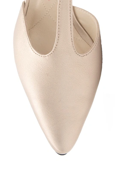 Amalfi By Rangoni Pipistrello Pointed Toe Pump In Saturn Etoile