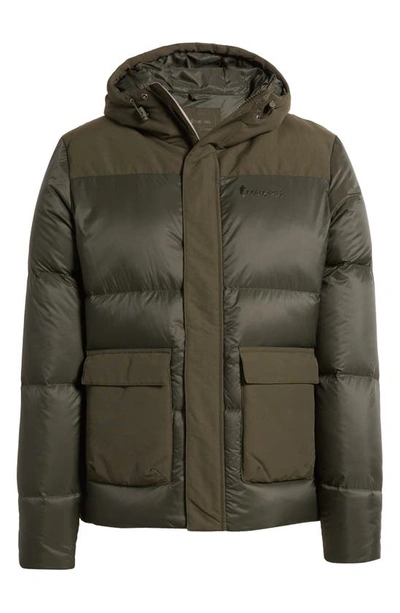 Shop Cotopaxi Solazo 600 Fill Power Down Hooded Parka In Wood