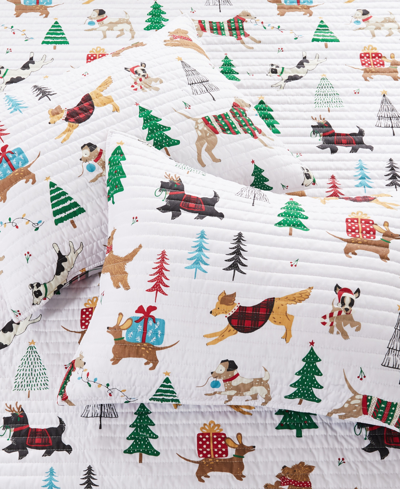 Levtex Jingle Paws Reversible 2-pc. Quilt Set, Twin/twin Xl In Multi