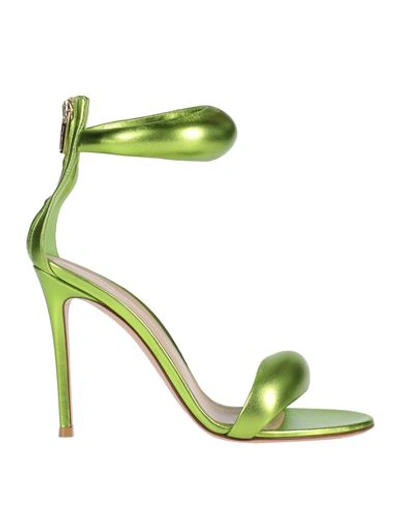 Shop Gianvito Rossi Woman Sandals Green Size 8 Soft Leather
