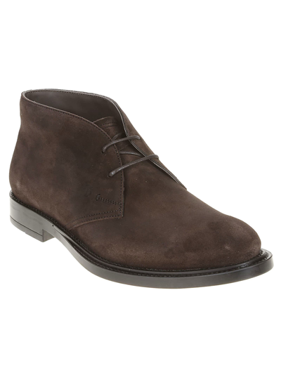 Shop Tod's Lace-up Formal Desert Boots In Brown