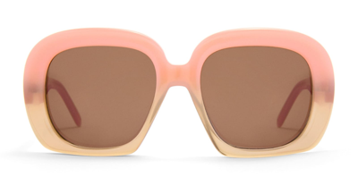 Shop Loewe Lw40113u - Jungle Green / Rosemary Sunglasses In Pink