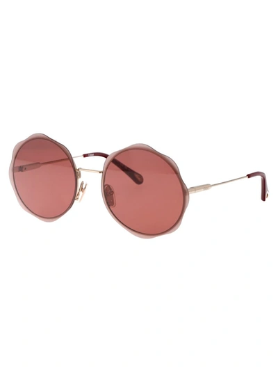 Chloé Chloe Burgundy Round Ladies Sunglasses Ch0202s 003 61 In 003 Gold Gold Red