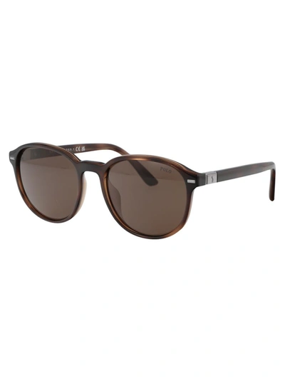 Shop Polo Ralph Lauren Sunglasses In 597473 Shiny Havana