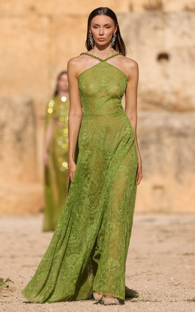 Shop Georges Hobeika Embroidered Lace Maxi Dress In Green