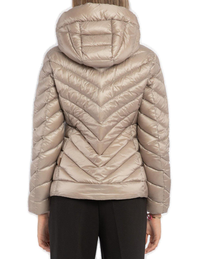 Shop Woolrich Chevron Quilted Jacket
