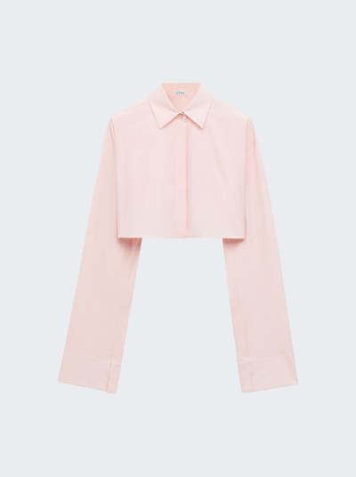 Shop Loewe Cropped Shirt In Cotton Candy