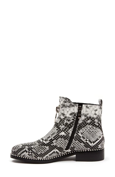 Shop Ninety Union Zippy Snake Embossed Front Zip Bootie In Black/ White Snake