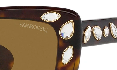 Shop Swarovski 54mm Pillow Sunglasses In Dk Havana