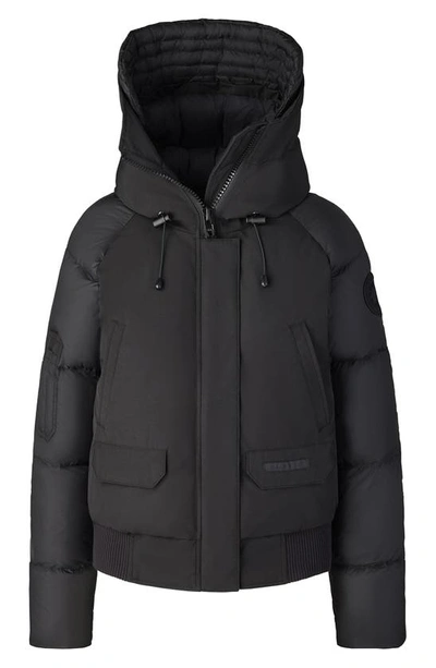 Canada Goose Chilliwack Down Bomber Jacket In Black - Noir