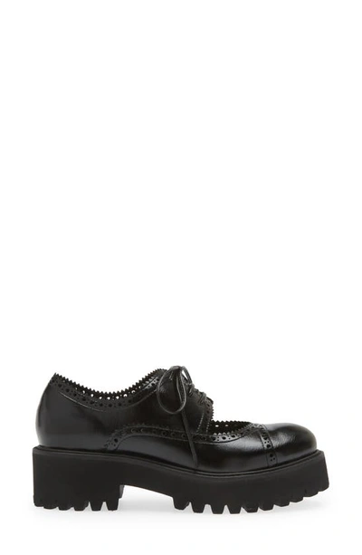 Jeffrey Campbell Realistic Cutout Platform Oxford In Black