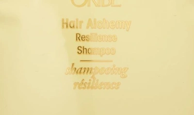 Shop Oribe Hair Alchemy Resilience Shampoo, 33.8 oz In Refill