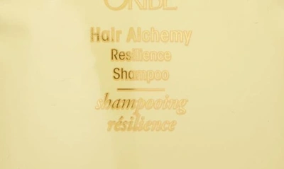 Shop Oribe Hair Alchemy Resilience Shampoo In Refill