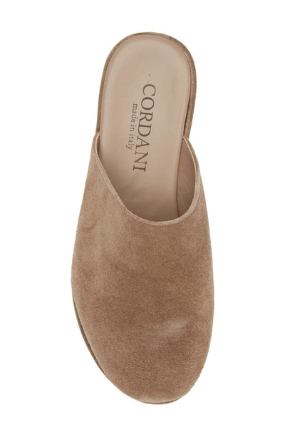 Cordani Camryn Platform Wedge Mule In Crosta Fango