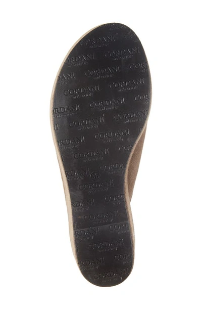 Cordani Camryn Platform Wedge Mule In Crosta Fango