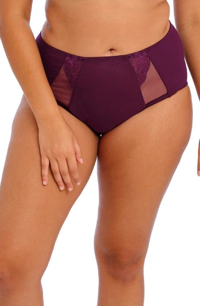 Shop Elomi Brianna Briefs In Blackberry