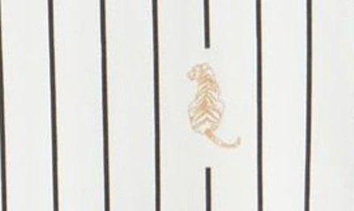 Shop Rails Kathryn Stripe Tiger Print Button-up Shirt In Striped Tigers