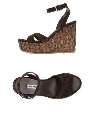 Shop Miu Miu Sandals In Dark Brown