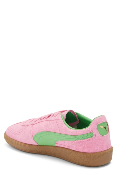 Shop Puma Palermo Special Sneaker In Pink Delight- Green-gum