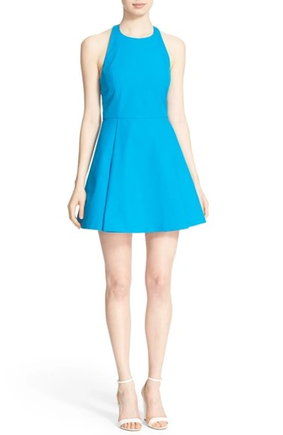 Shop Alice And Olivia 'christie' Cotton Fit & Flare Dress In Jewel Blue