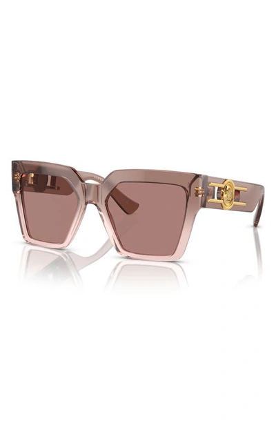 Shop Versace 55mm Butterfly Sunglasses In Lite Brown