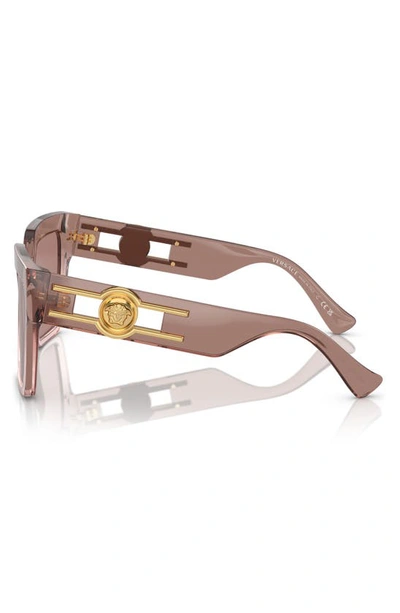 Shop Versace 55mm Butterfly Sunglasses In Lite Brown