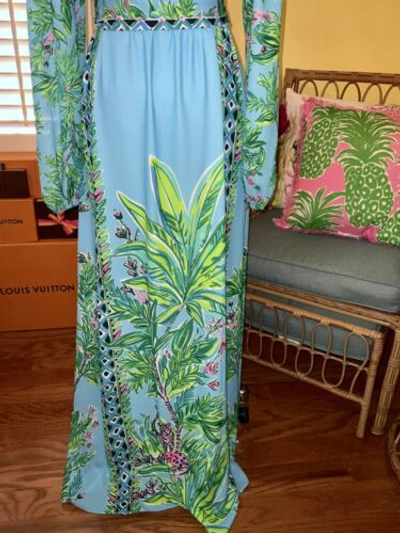 Pre-owned Lilly Pulitzer Chyanna Maxi Dress Bamboo Forest ? Size 00,8 In Multicolor