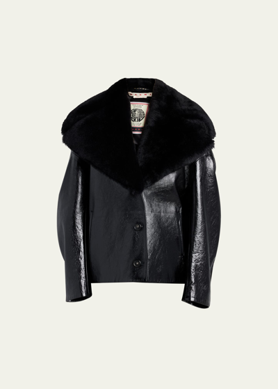 Shop Marni Leather Short Jacket With Shearling Shawl Collar In Black