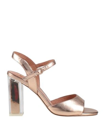 Shop Luciano Barachini Woman Sandals Rose Gold Size 8 Synthetic Fibers