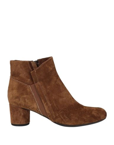 Shop Pas De Rouge Woman Ankle Boots Brown Size 8 Soft Leather