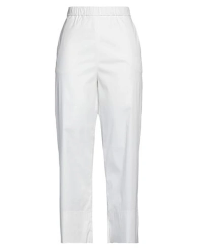 Antonelli Woman Pants White Size 4 Cotton, Polyamide, Elastane In White