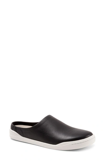 Shop Softwalk ® Auburn Mule In Black