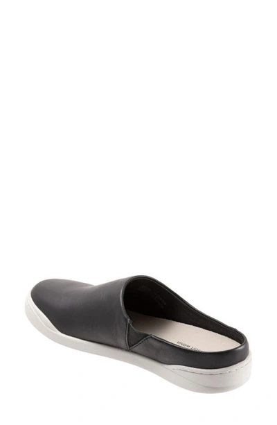 Shop Softwalk ® Auburn Mule In Black