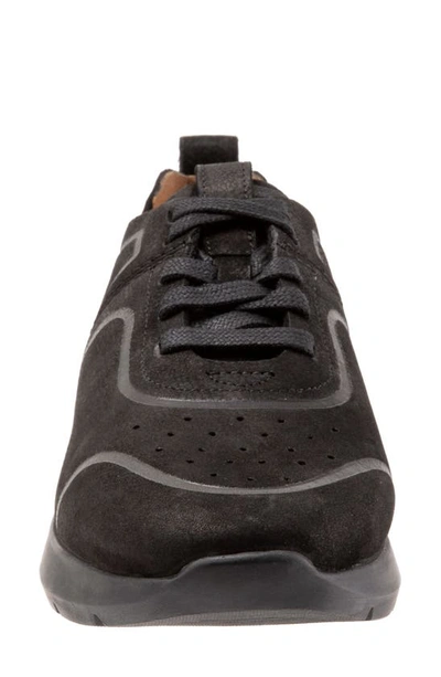 Shop Softwalk ® Stella Sneaker In Black Nubuck