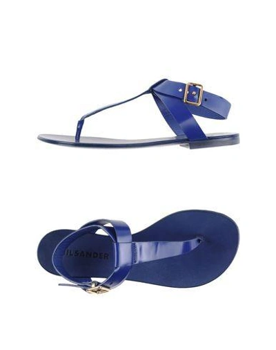 Shop Jil Sander In Bright Blue