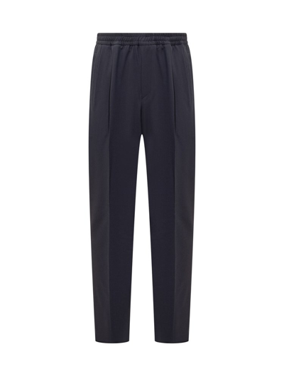 Shop Z Zegna Pleated Tailored Trousers In Navy
