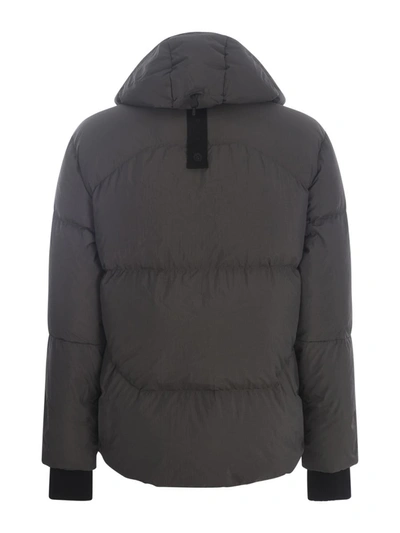 Shop Jg1 Coats Grey