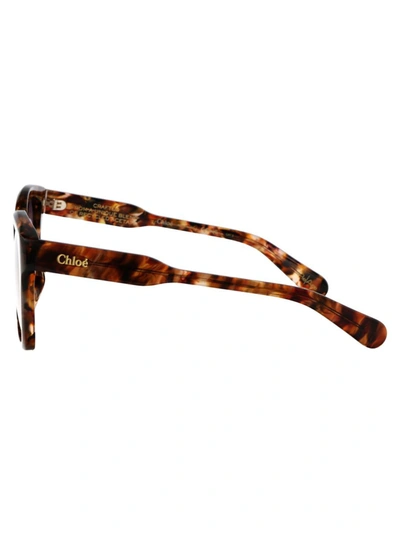 Chloé Chloe Summer Sunglasses Ch0194 Sk 003 In 003 Havana Havana Violet