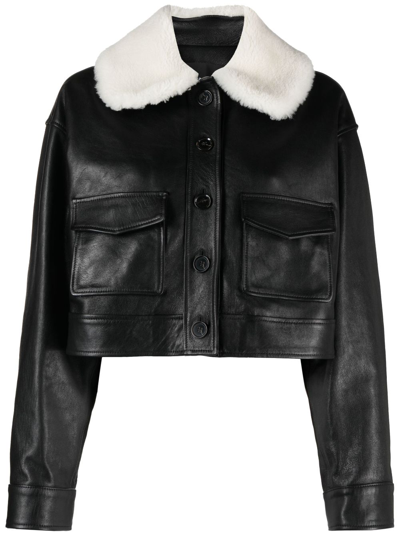 Shop Proenza Schouler Judd Leather Jacket - Women's - Sheep Skin/shearling/viscose/lamb Skin In Black