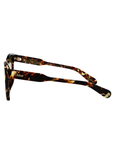 Chloé Tortoiseshell-effect Cat Eye-frame Sunglasses In 004 Havana Havana Brown