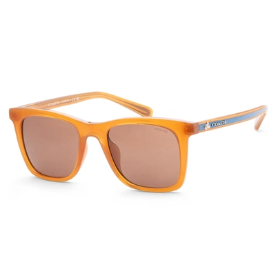 Shop Coach Women's 51 Mm Sunglasses In Orange