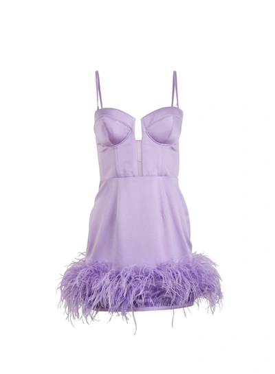 Shop Fleur Du Mal Feather Embellished Bustier Dress In Light Lilac