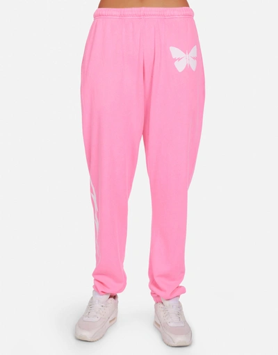 Shop Lauren Moshi X Chantria X Lightning Butterfly In Neon Pink