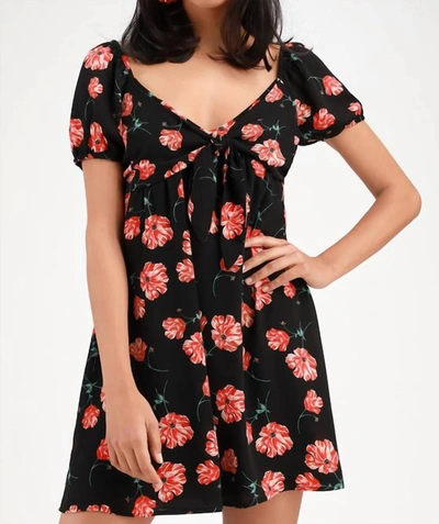 Shop Bb Dakota Pretty In Poppies Mini Dress In Black Floral